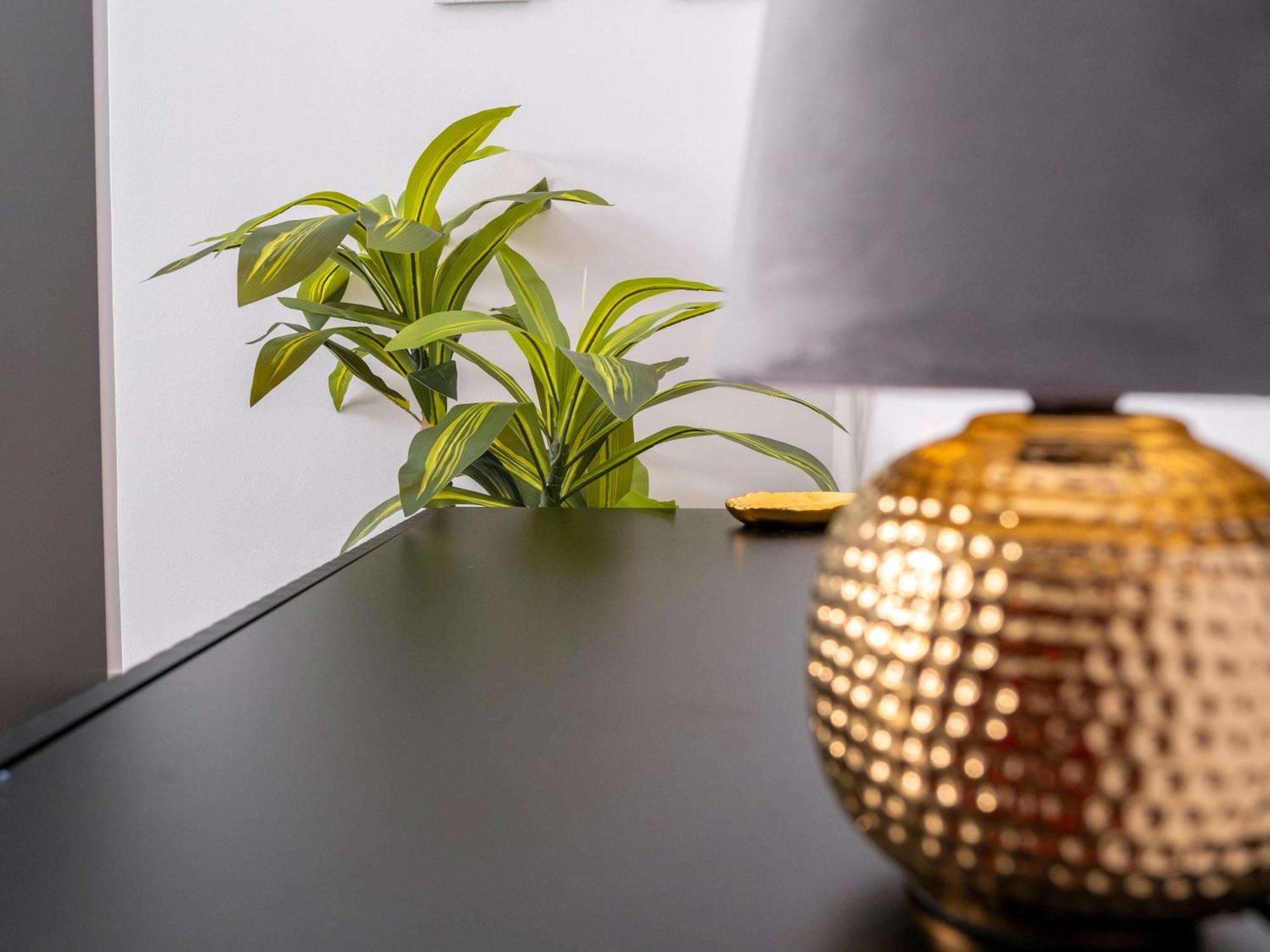 Ginevra Suite Bolonya Dış mekan fotoğraf